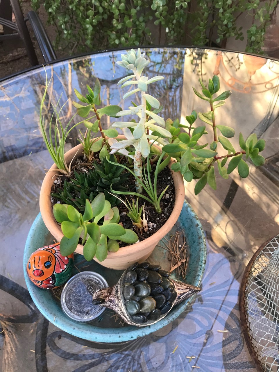 Winter 2019-2020 start