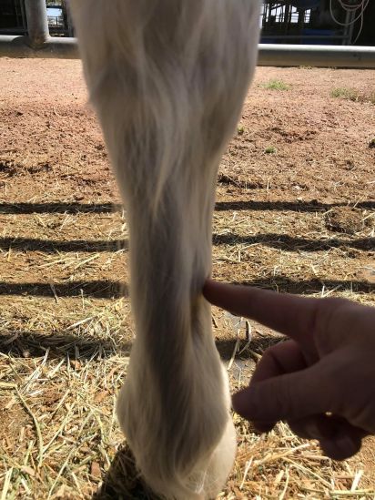 91280372_271124350551178_2941572338811928576_n