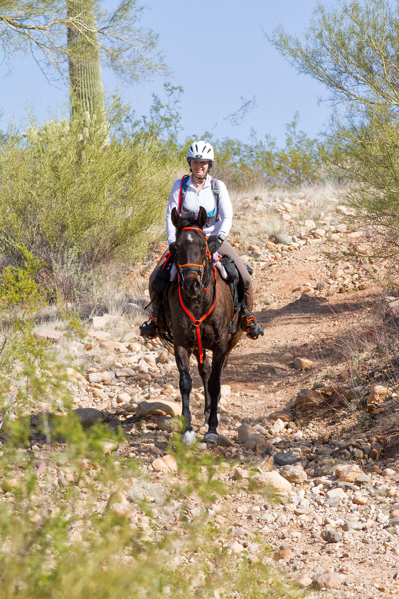 2016-Wickenburg-0773