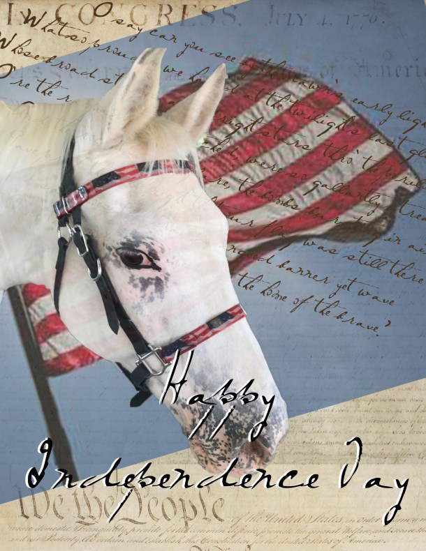 IndependenceDay2020 -- blog copy